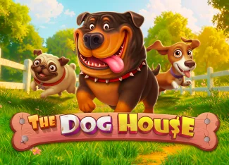 The Dog House Android ve iOS Rehberi 2026